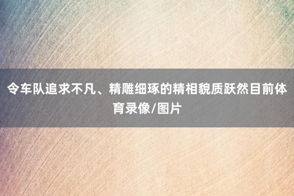 令车队追求不凡、精雕细琢的精相貌质跃然目前体育录像/图片