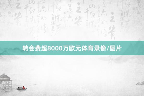转会费超8000万欧元体育录像/图片