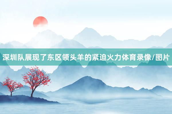深圳队展现了东区领头羊的紧迫火力体育录像/图片